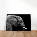 20x30 cm / 8x12″ Canvas Black & White Elephant portrait by Picture This