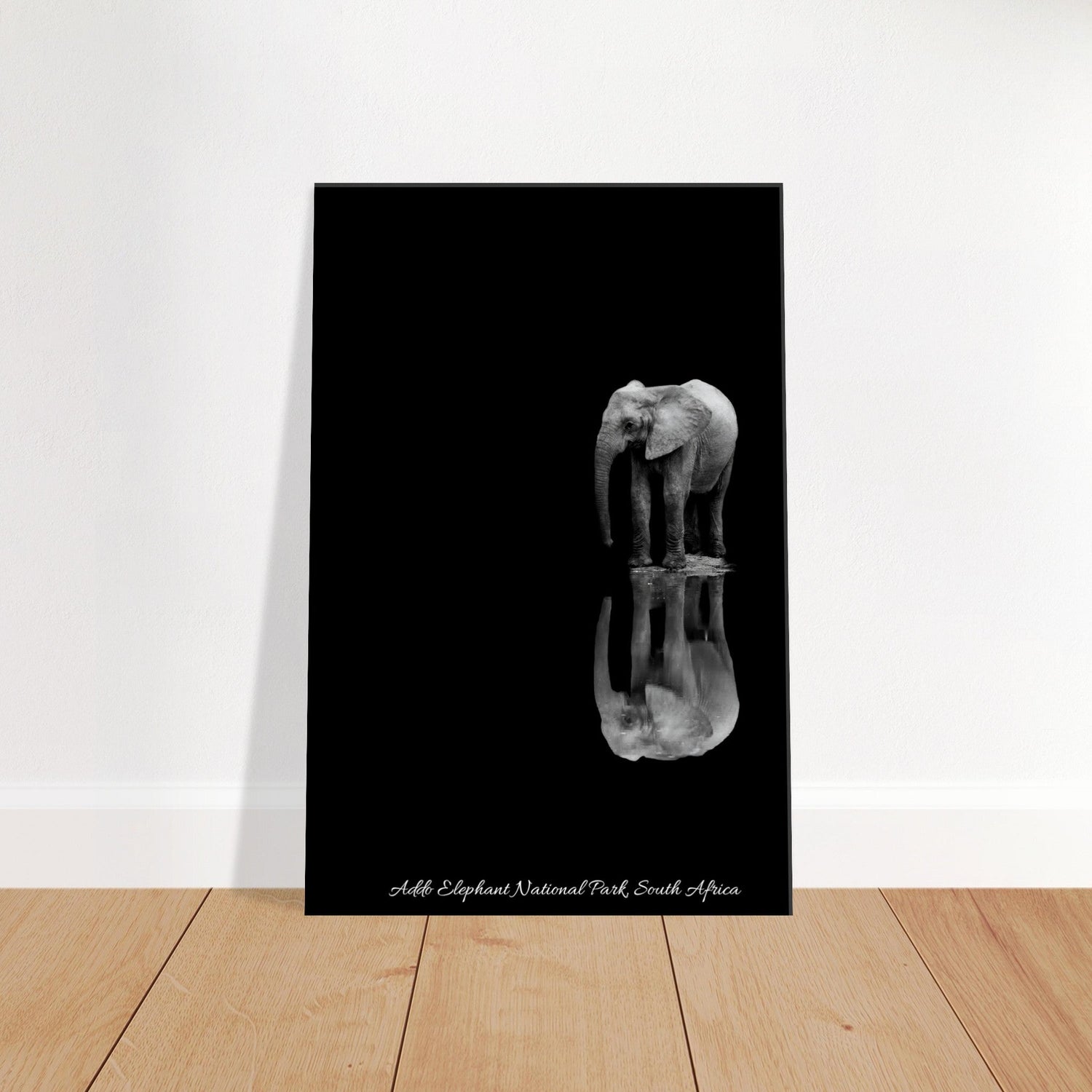 20x30 cm / 8x12″ Canvas Lone Elephant - Black & White Portrait by Picture This