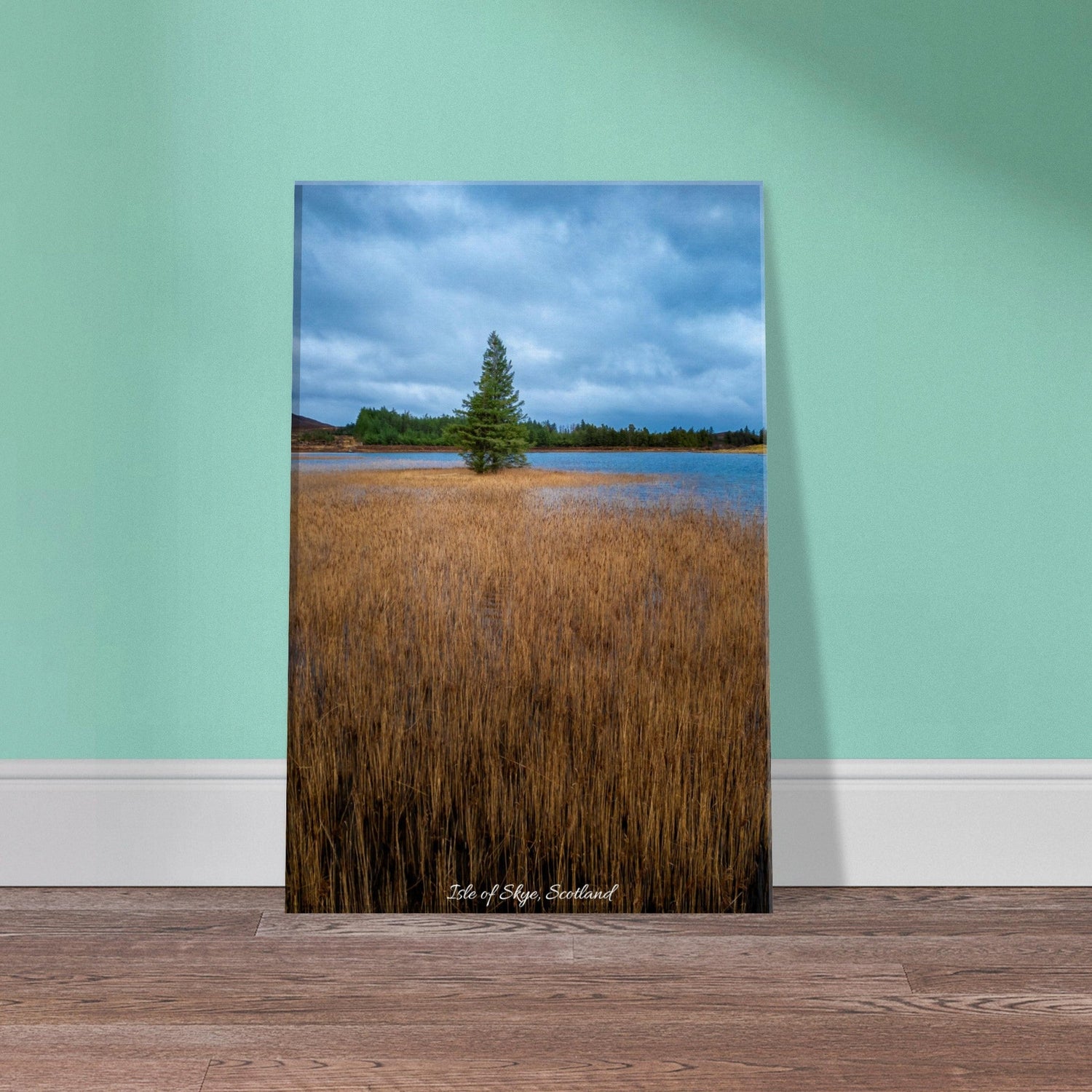 20x30 cm / 8x12″ Canvas Lone Tree of the Lake by Picture This