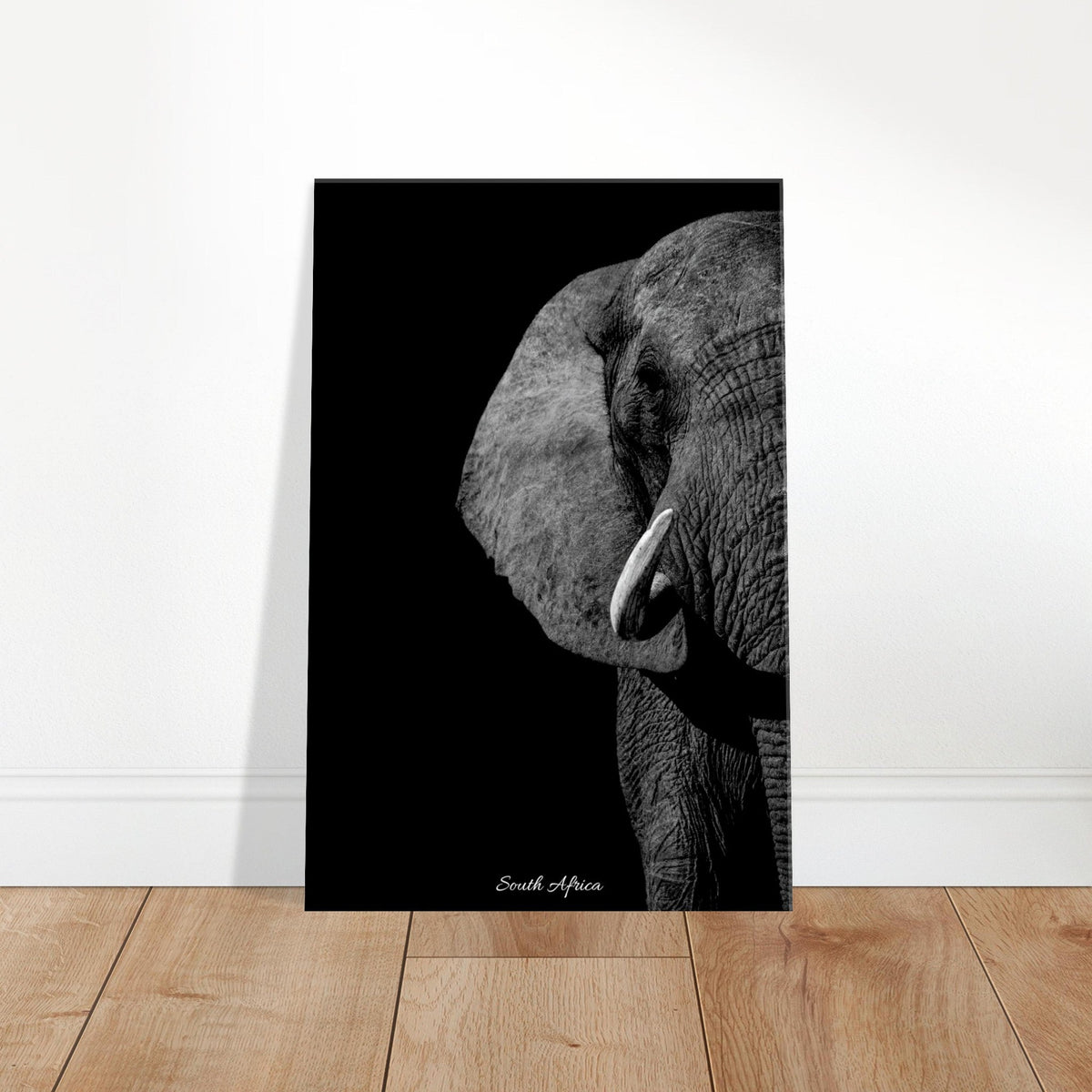 20x30 cm / 8x12″ Canvas Monochrome South African Elephant by Picture This
