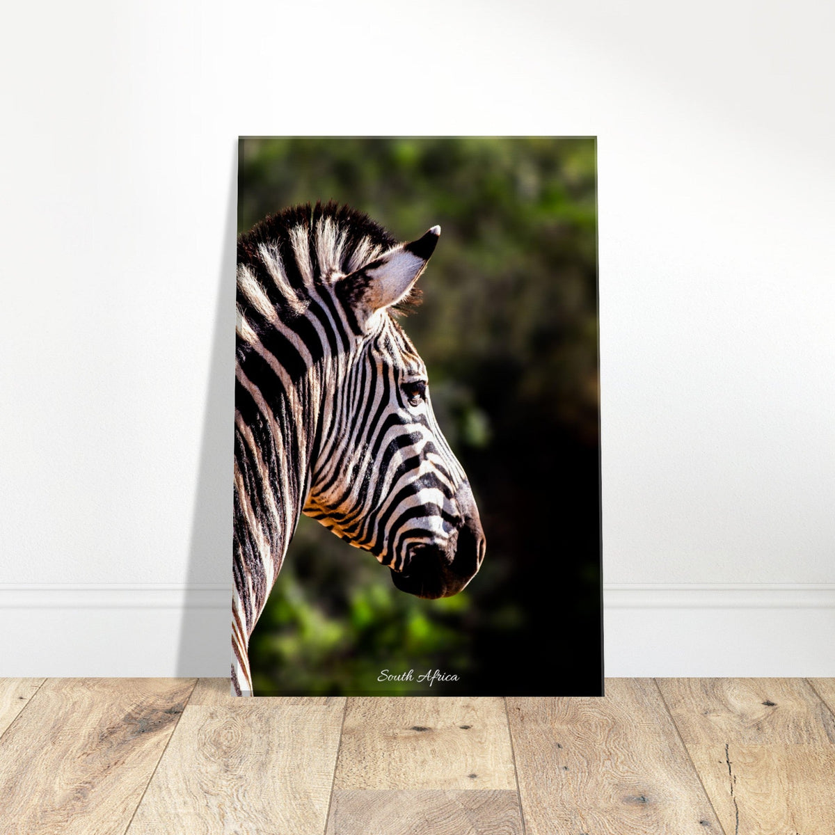 20x30 cm / 8x12″ Canvas Stunning Zebra by Picture This