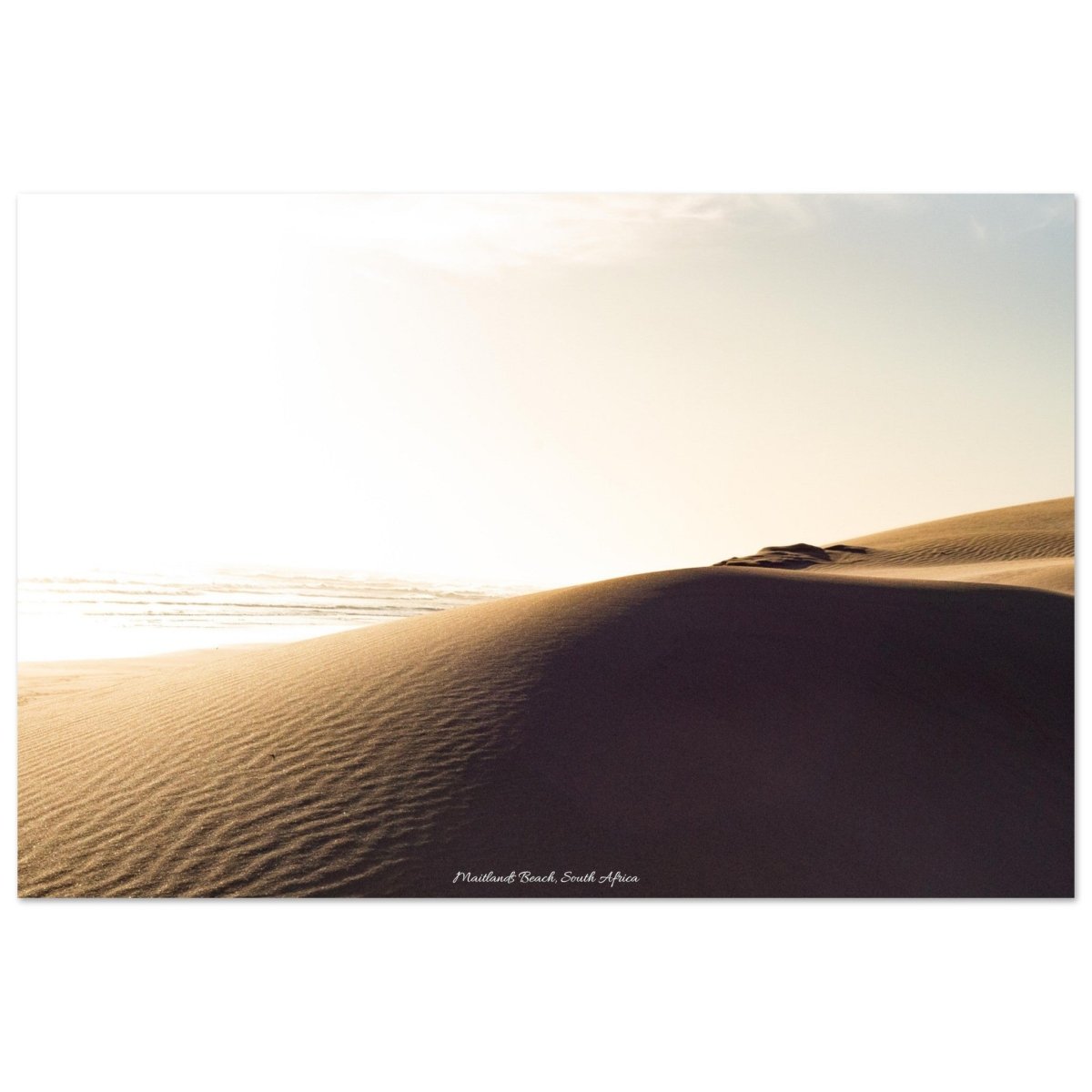 20x30 cm / 8x12″ Dunes of Maitlands Beach by Picture This