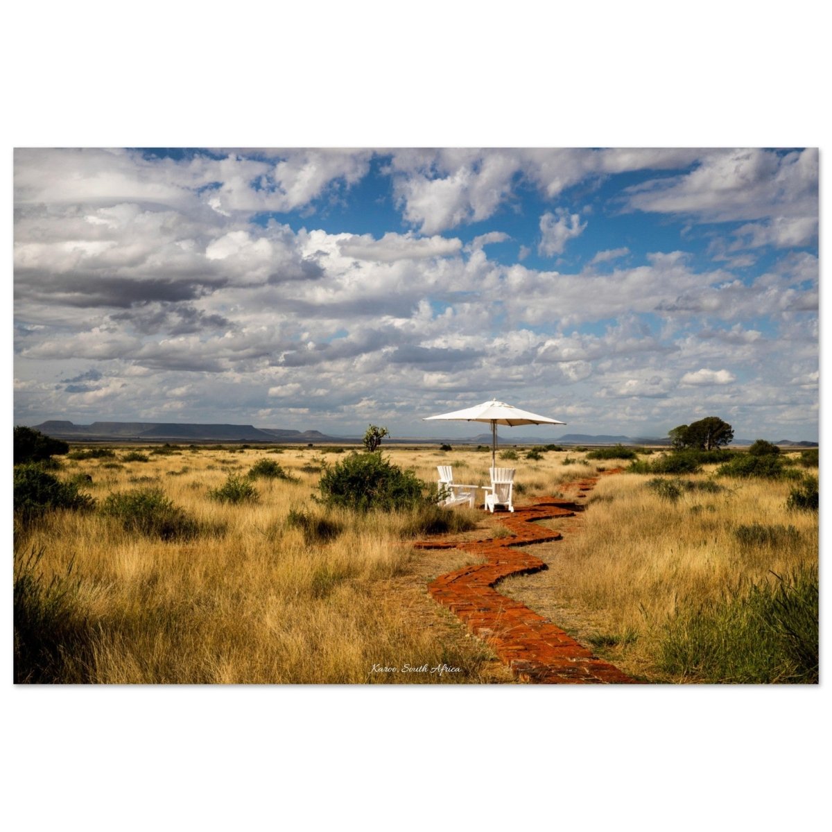 20x30 cm / 8x12″ South Africa's serene Karoo by Picture This