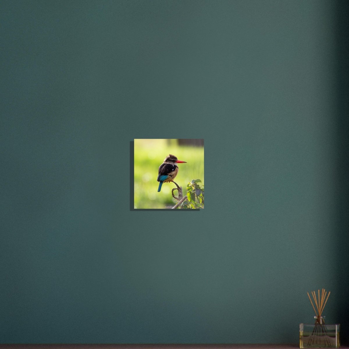 30x30 cm / 12x12″ Perched King Fisher by Picture This