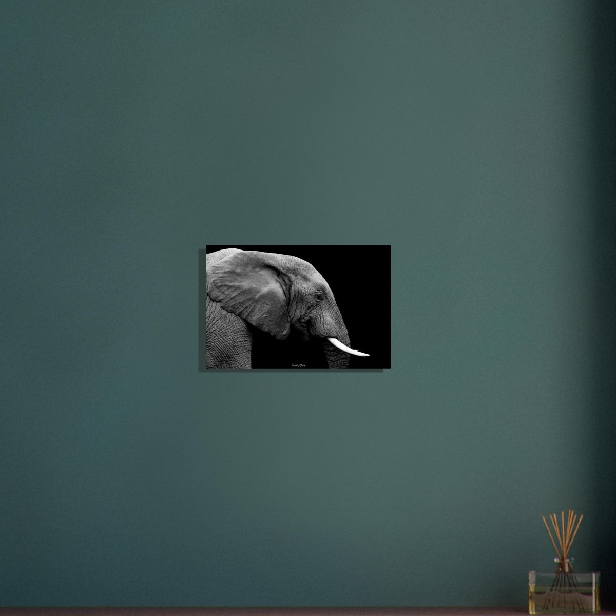 30x45 cm / 12x18″ Black & White Elephant portrait by Picture This