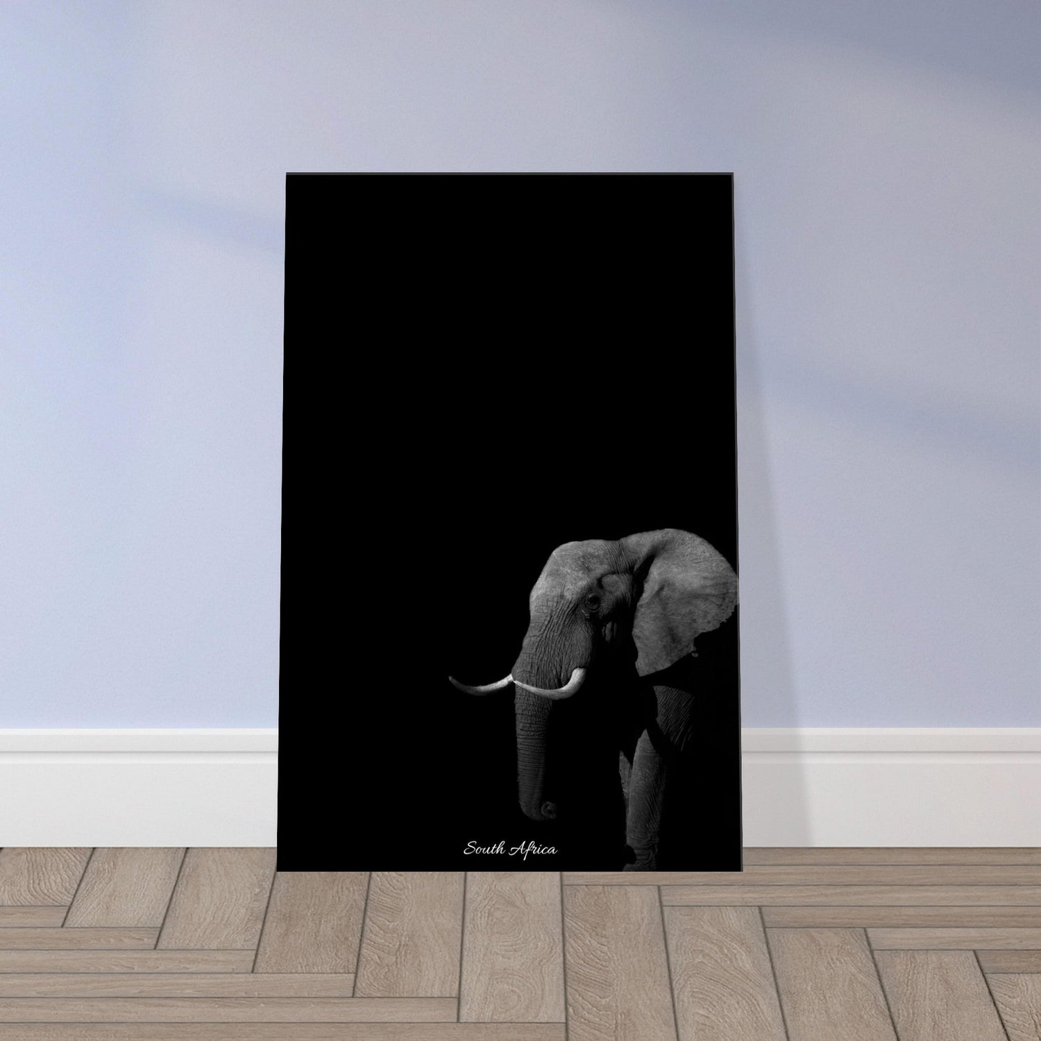 30x45 cm / 12x18″ Canvas Black & White Elephant by Picture This
