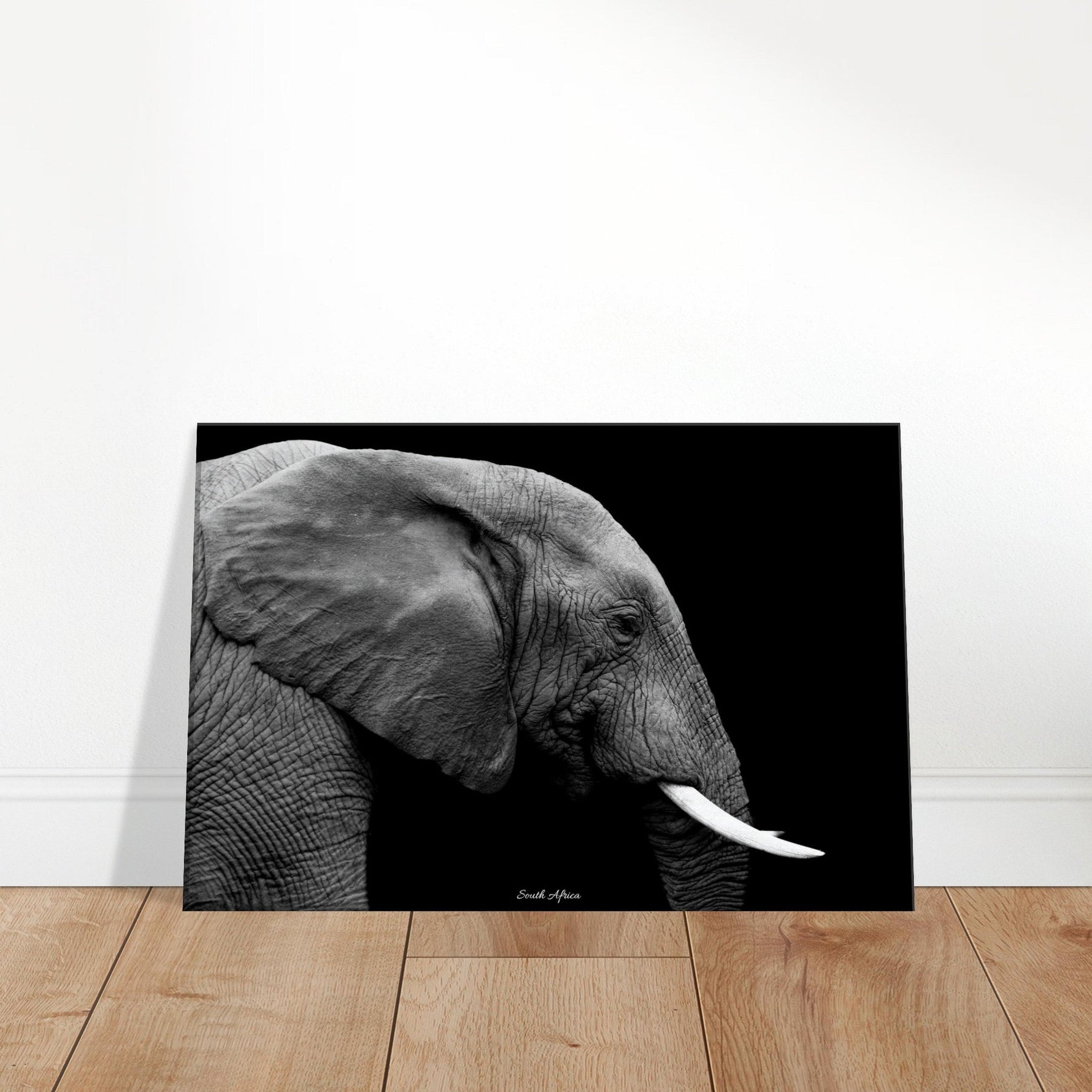 30x45 cm / 12x18″ Canvas Black & White Elephant portrait by Picture This