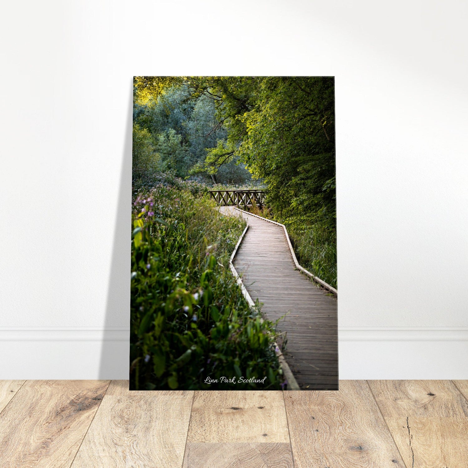 30x45 cm / 12x18″ Canvas Morning Forest Walk in Linn Park by Picture This