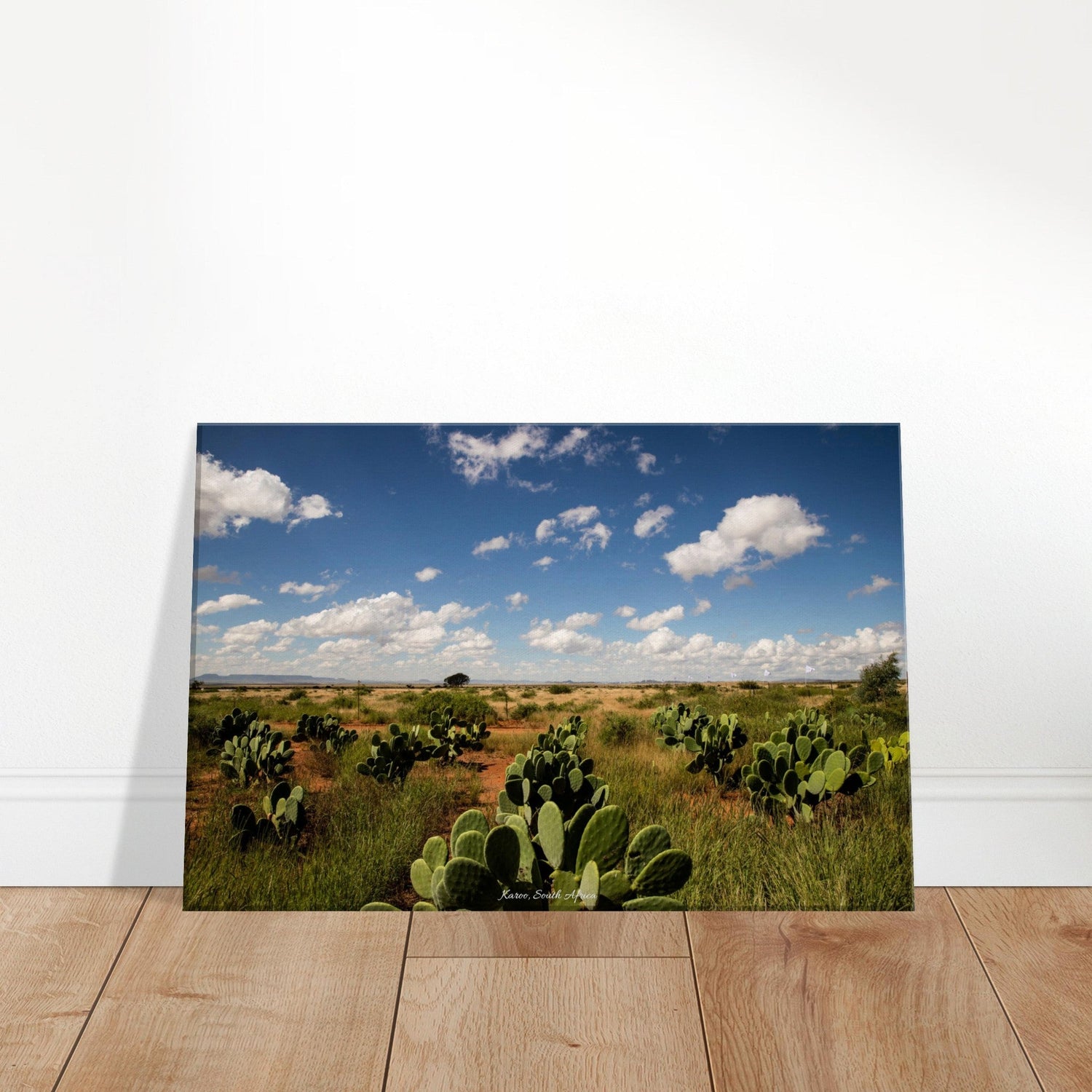 30x45 cm / 12x18″ Canvas Thorny Karoo by Picture This