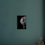 30x45 cm / 12x18″ Monochrome South African Elephant by Picture This
