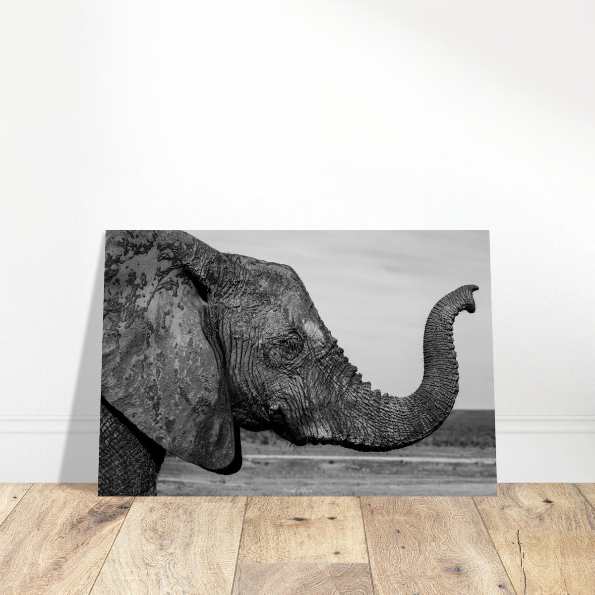 30x45 cm / 12x18″ Premium Matte Paper Poster Intense monochrome Elephant Portrait by Picture This