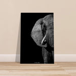 30x45 cm / 12x18″ Premium Matte Paper Poster Monochrome South African Elephant by Picture This