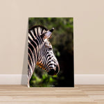 30x45 cm / 12x18″ Premium Matte Paper Poster Stunning Zebra by Picture This