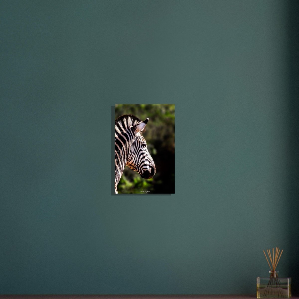 30x45 cm / 12x18″ Stunning Zebra by Picture This