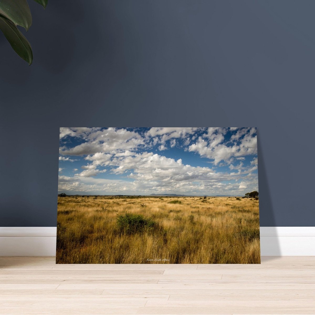 30x45 cm / 12x18″ Yellow Karoo of South Africa by Picture This