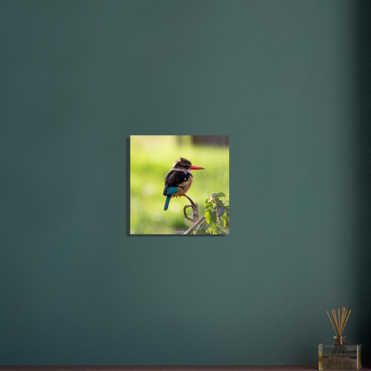 40x40 cm / 16x16″ Perched King Fisher by Picture This