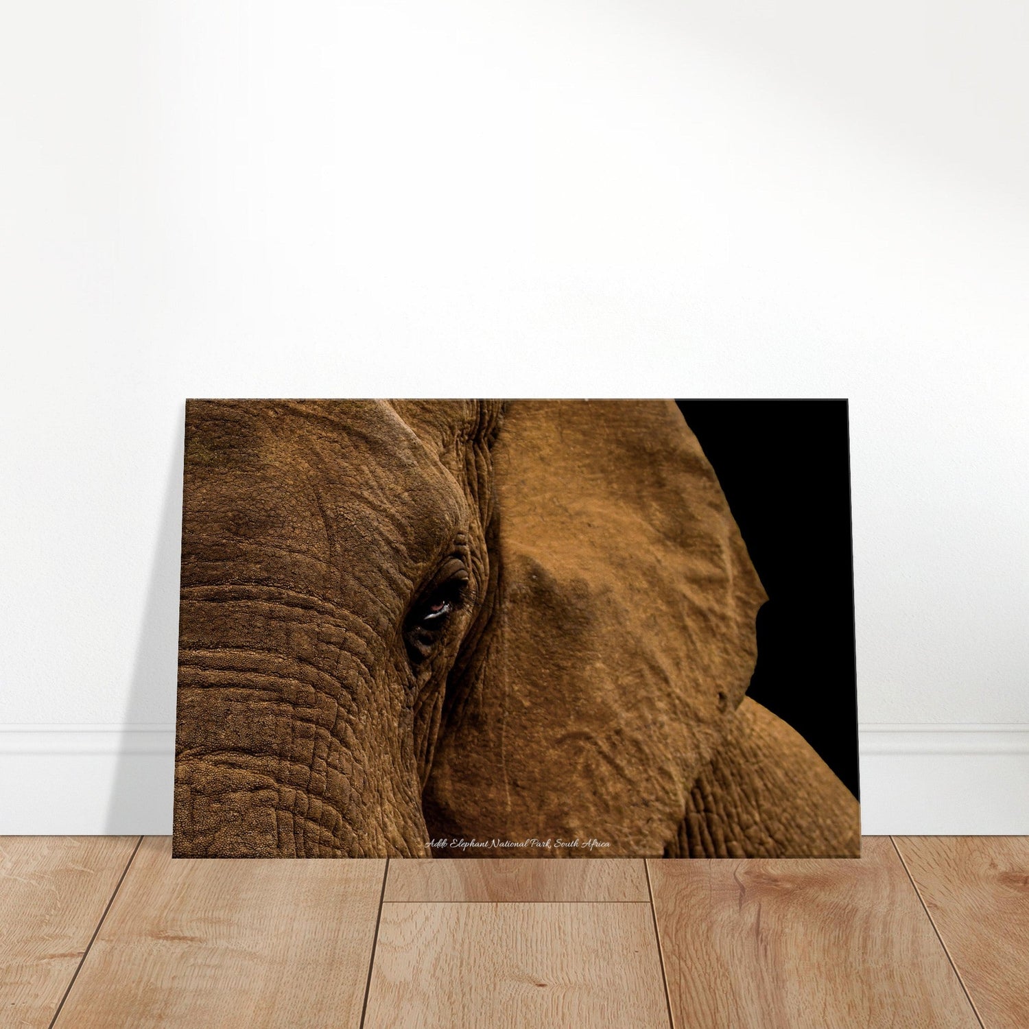 40x60 cm / 16x24″ Canvas Eye of the Elephant by Picture This