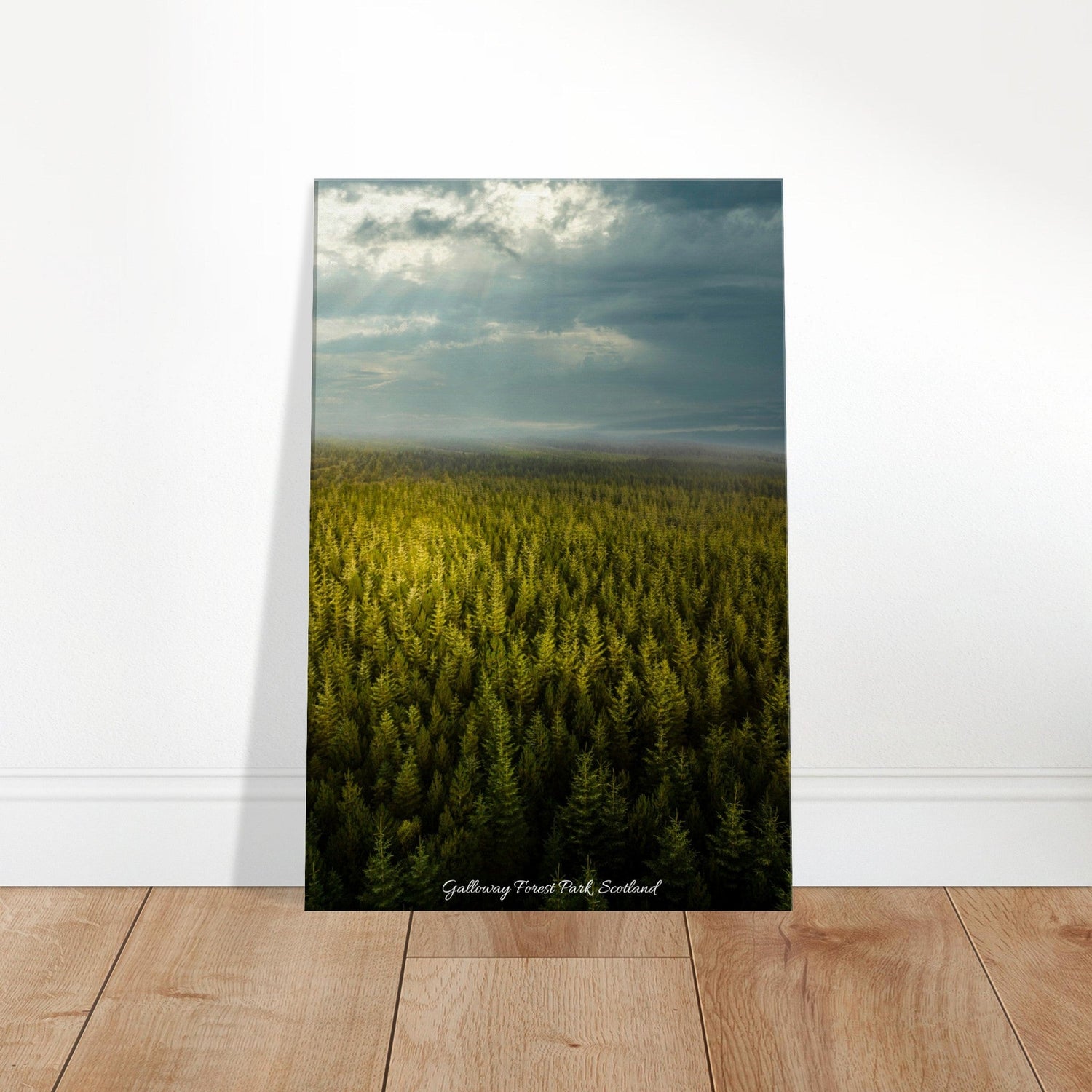 40x60 cm / 16x24″ Canvas Sea of Pines by Picture This
