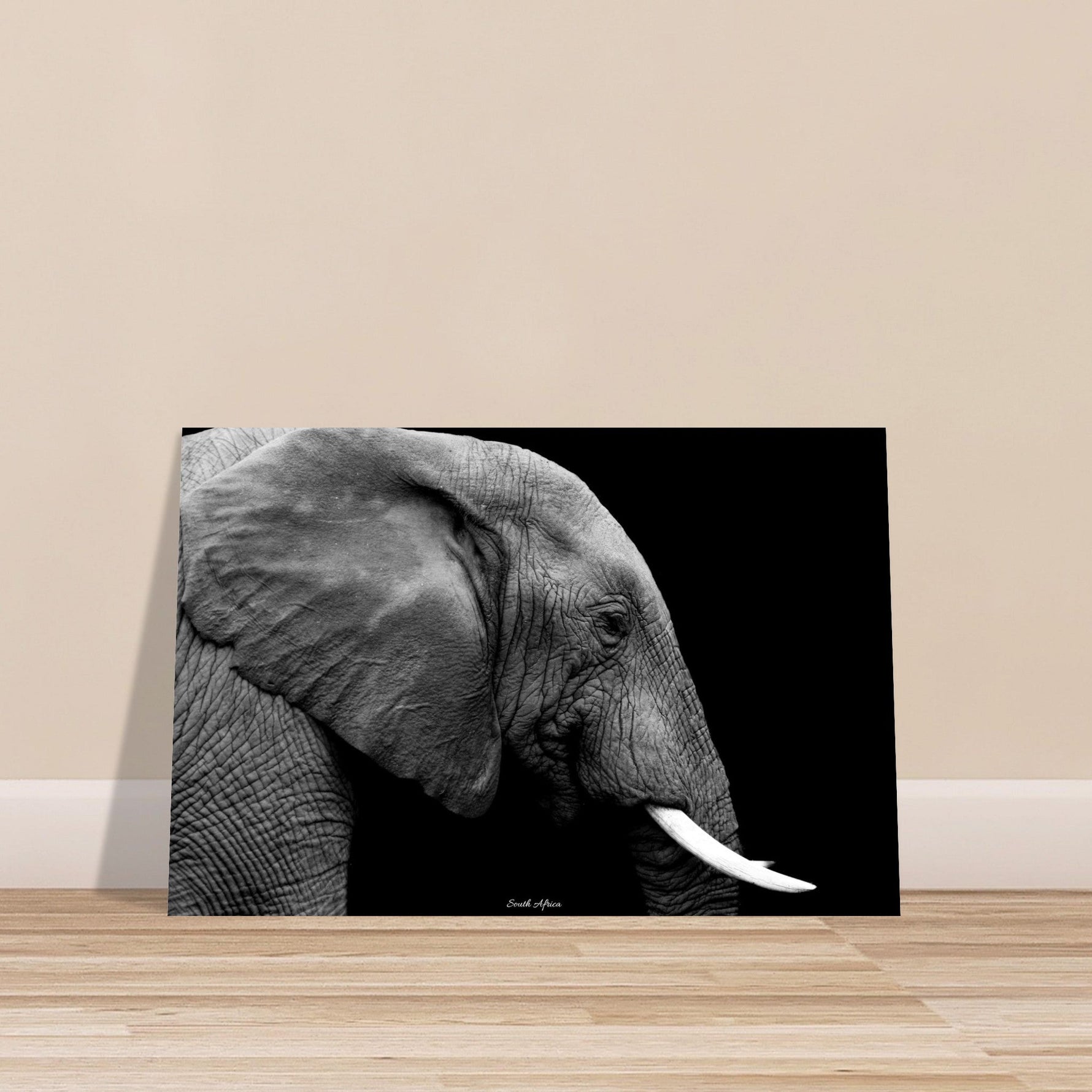40x60 cm / 16x24″ Premium Matte Paper Poster Black & White Elephant portrait by Picture This