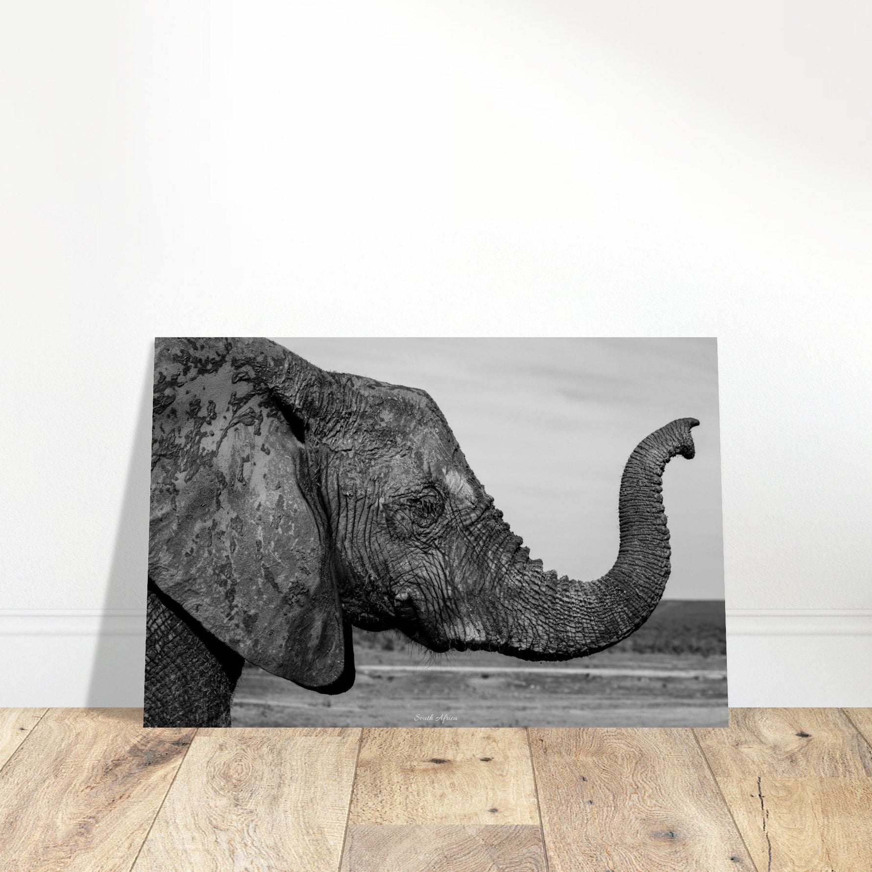 40x60 cm / 16x24″ Premium Matte Paper Poster Intense monochrome Elephant Portrait by Picture This