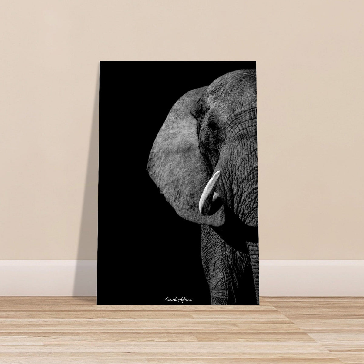 40x60 cm / 16x24″ Premium Matte Paper Poster Monochrome South African Elephant by Picture This