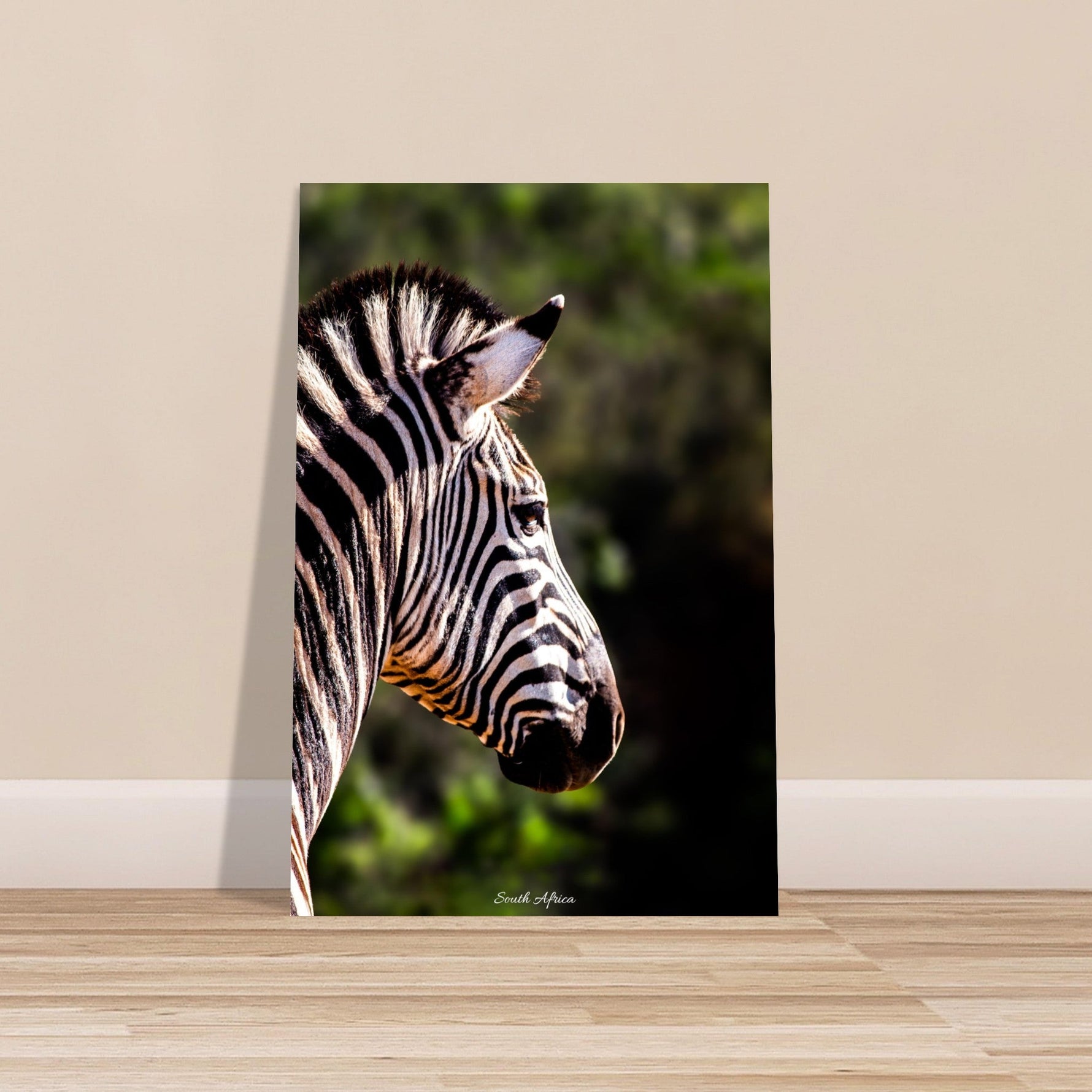 40x60 cm / 16x24″ Premium Matte Paper Poster Stunning Zebra by Picture This