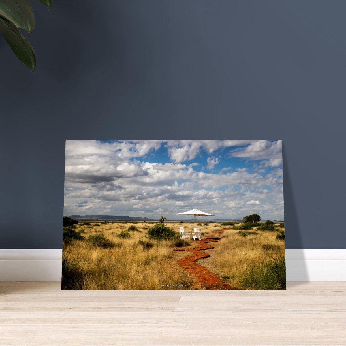 40x60 cm / 16x24″ South Africa's serene Karoo by Picture This