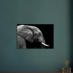50x75 cm / 20x30″ Black & White Elephant portrait by Picture This