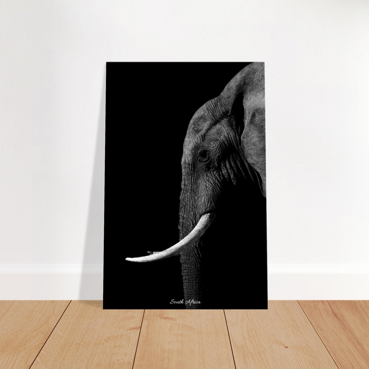 50x75 cm / 20x30″ Canvas Black & White Elephant portrait by Picture This