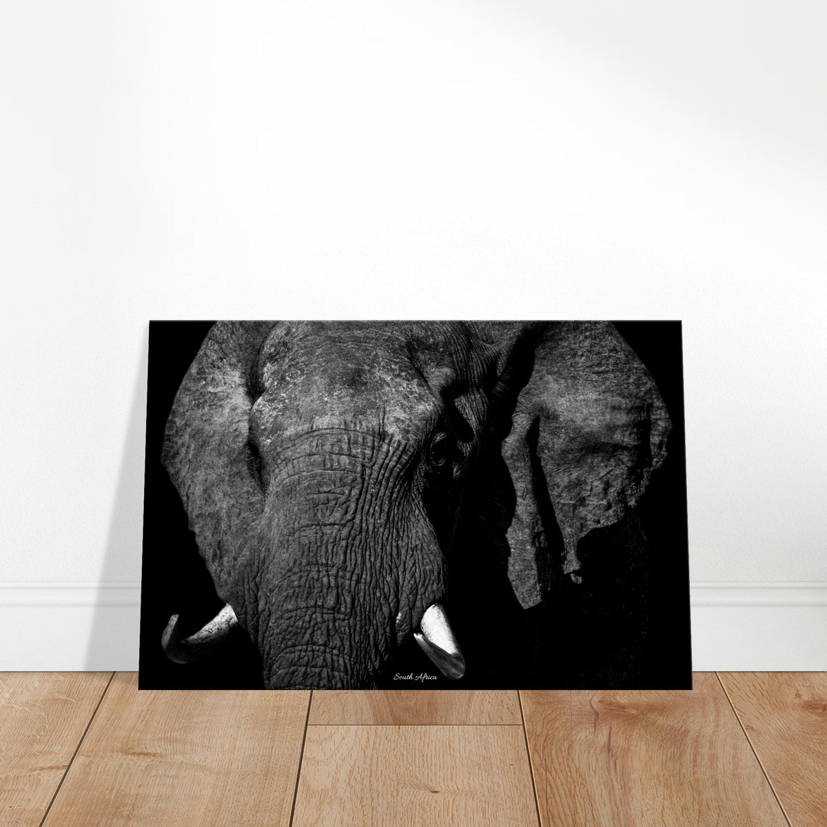 50x75 cm / 20x30″ Canvas Closeup Elephant Portrait by Picture This