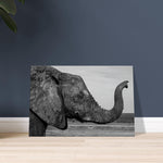50x75 cm / 20x30″ Canvas Intense monochrome Elephant Portrait by Picture This