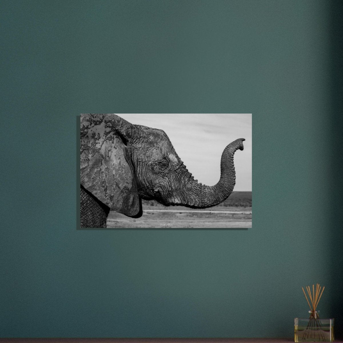 50x75 cm / 20x30″ Intense monochrome Elephant Portrait by Picture This