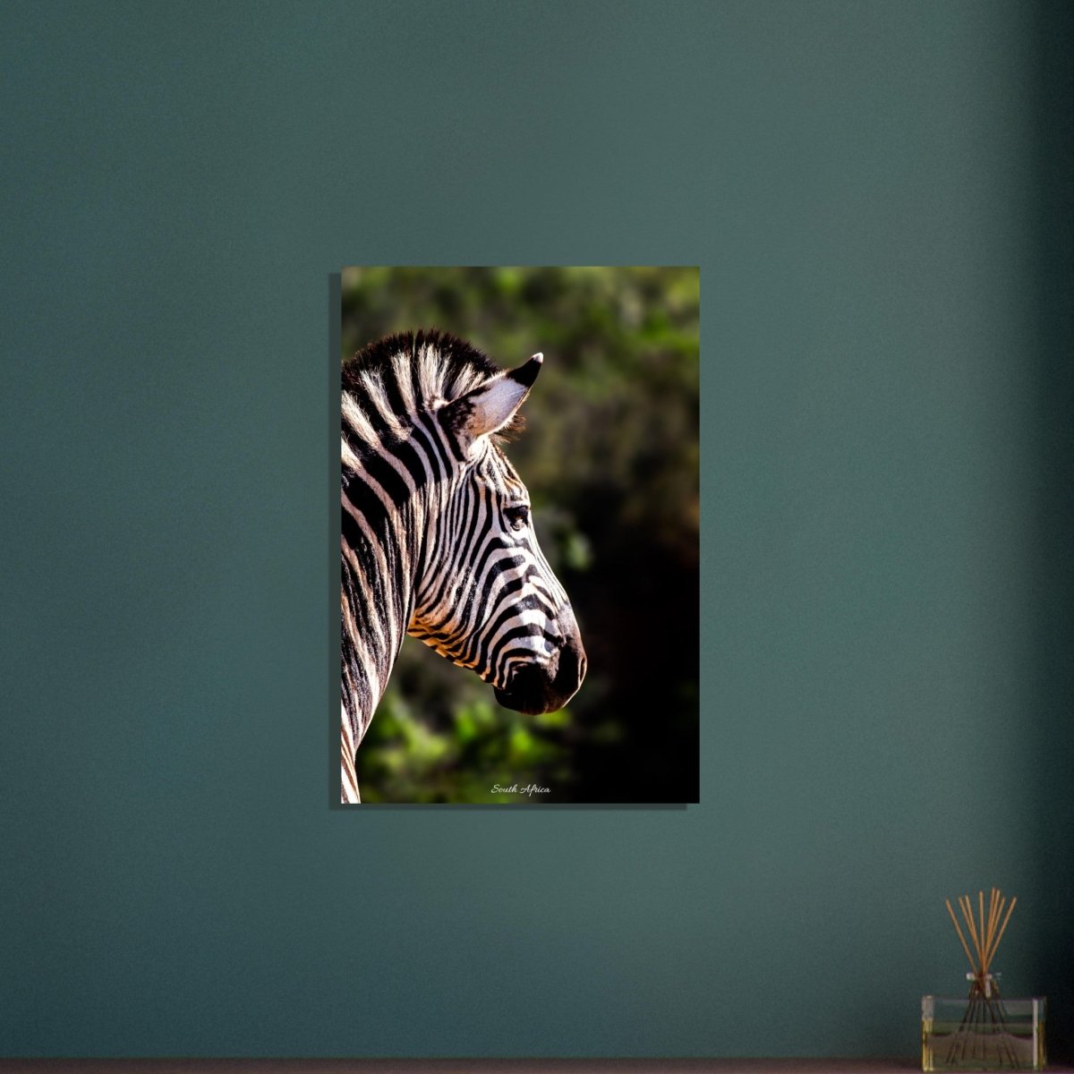 50x75 cm / 20x30″ Stunning Zebra by Picture This