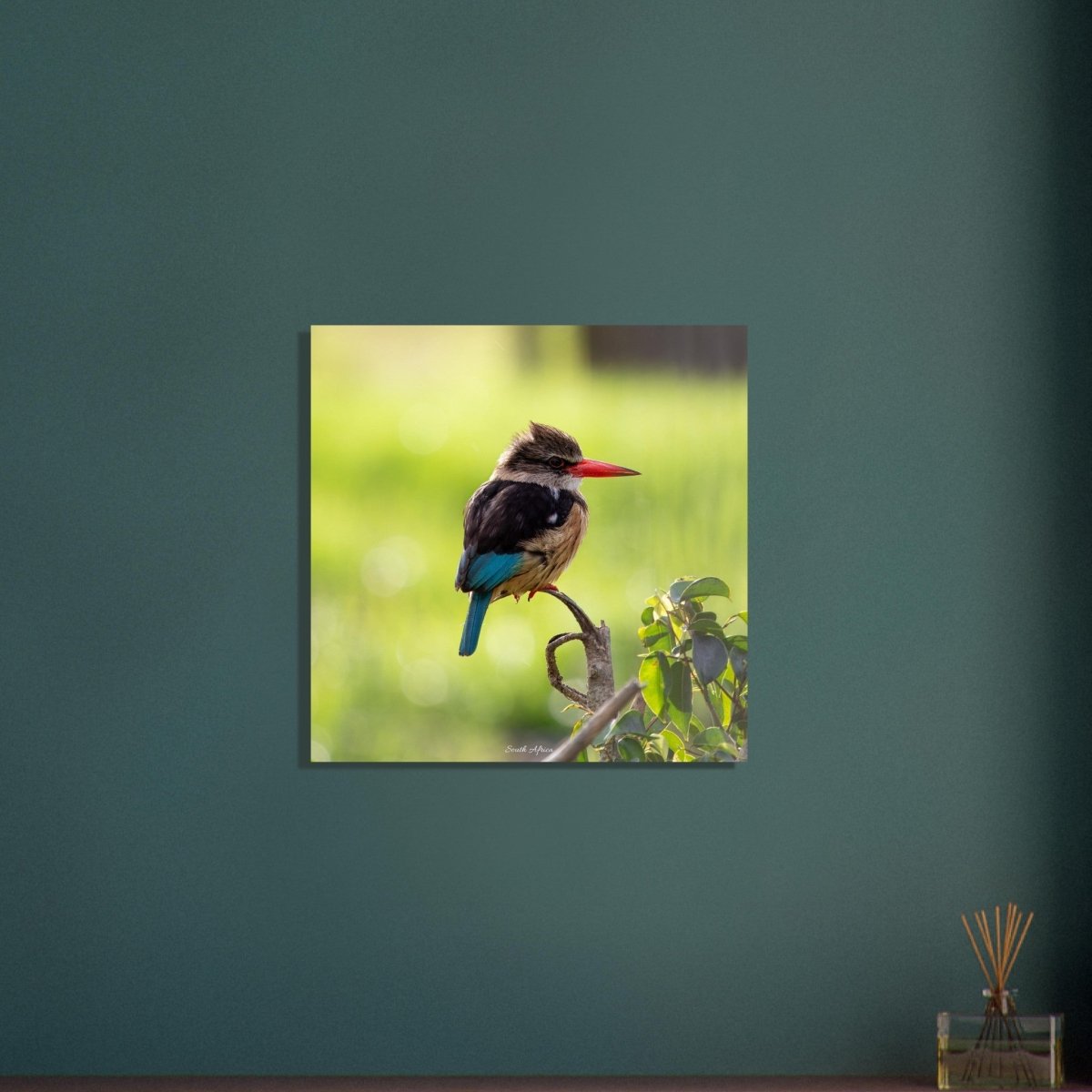 60x60 cm / 24x24″ Perched King Fisher by Picture This