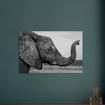 60x90 cm / 24x36″ Intense monochrome Elephant Portrait by Picture This