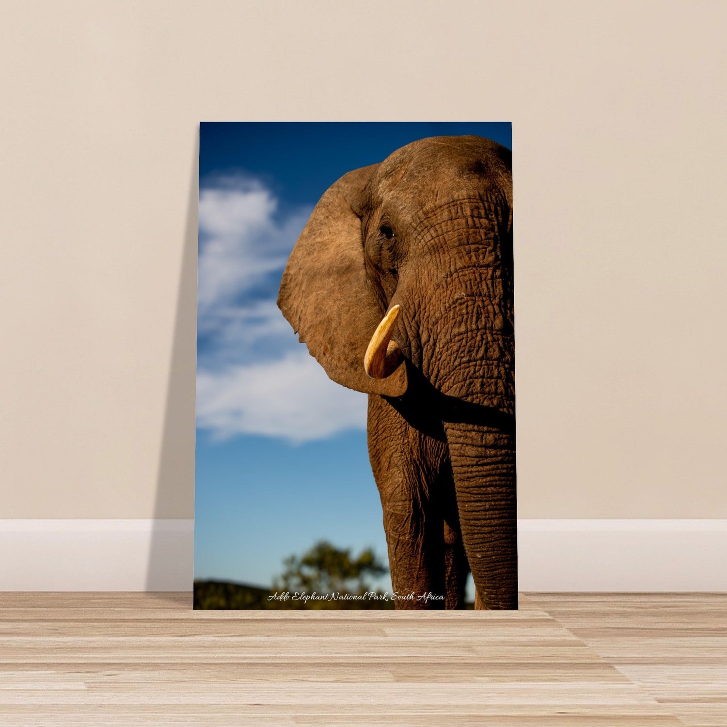 60x90 cm / 24x36″ Premium Matte Paper Poster Intense Elephant portrait by Picture This