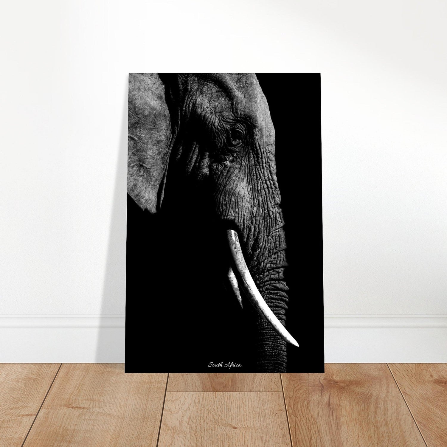 60x90 cm / 24x36″ Premium Matte Paper Poster Monochrome Elephant portrait by Picture This