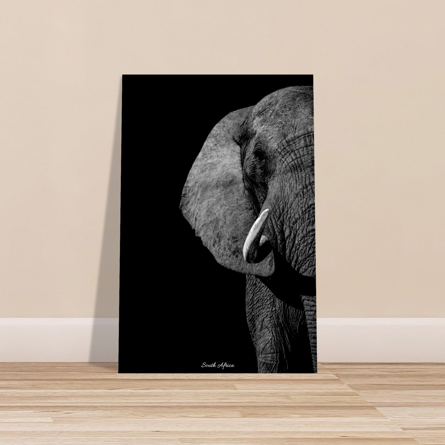 60x90 cm / 24x36″ Premium Matte Paper Poster Monochrome South African Elephant by Picture This