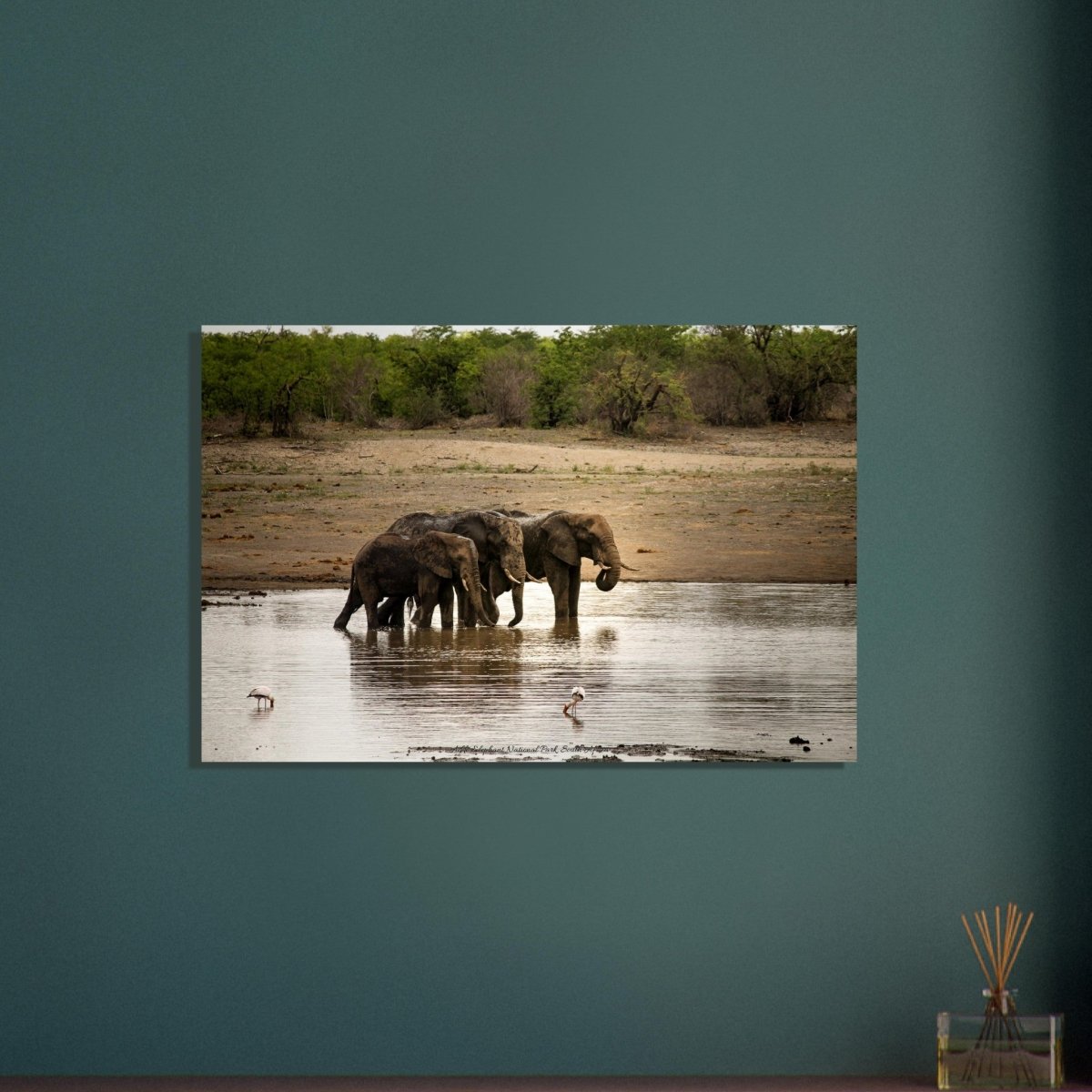 60x90 cm / 24x36″ Three Elephants in water by Picture This